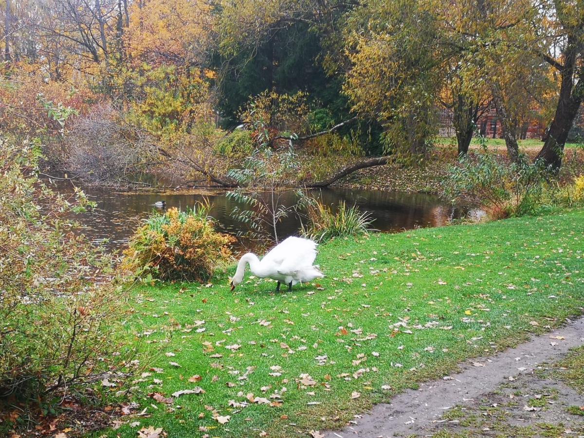 Botanical Garden